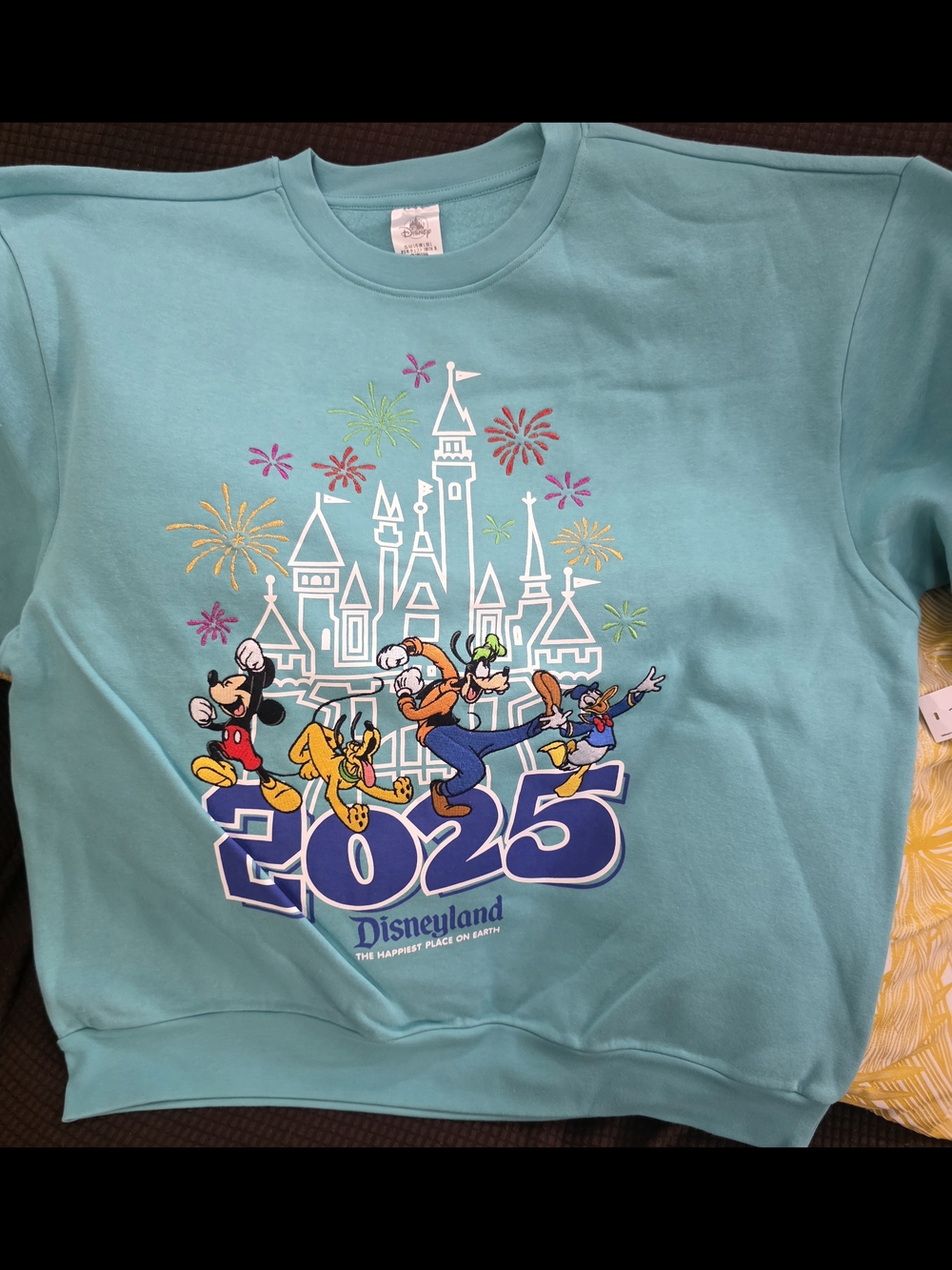 Disney Teal 2025 Kids' Character Graphic Sweatshirt